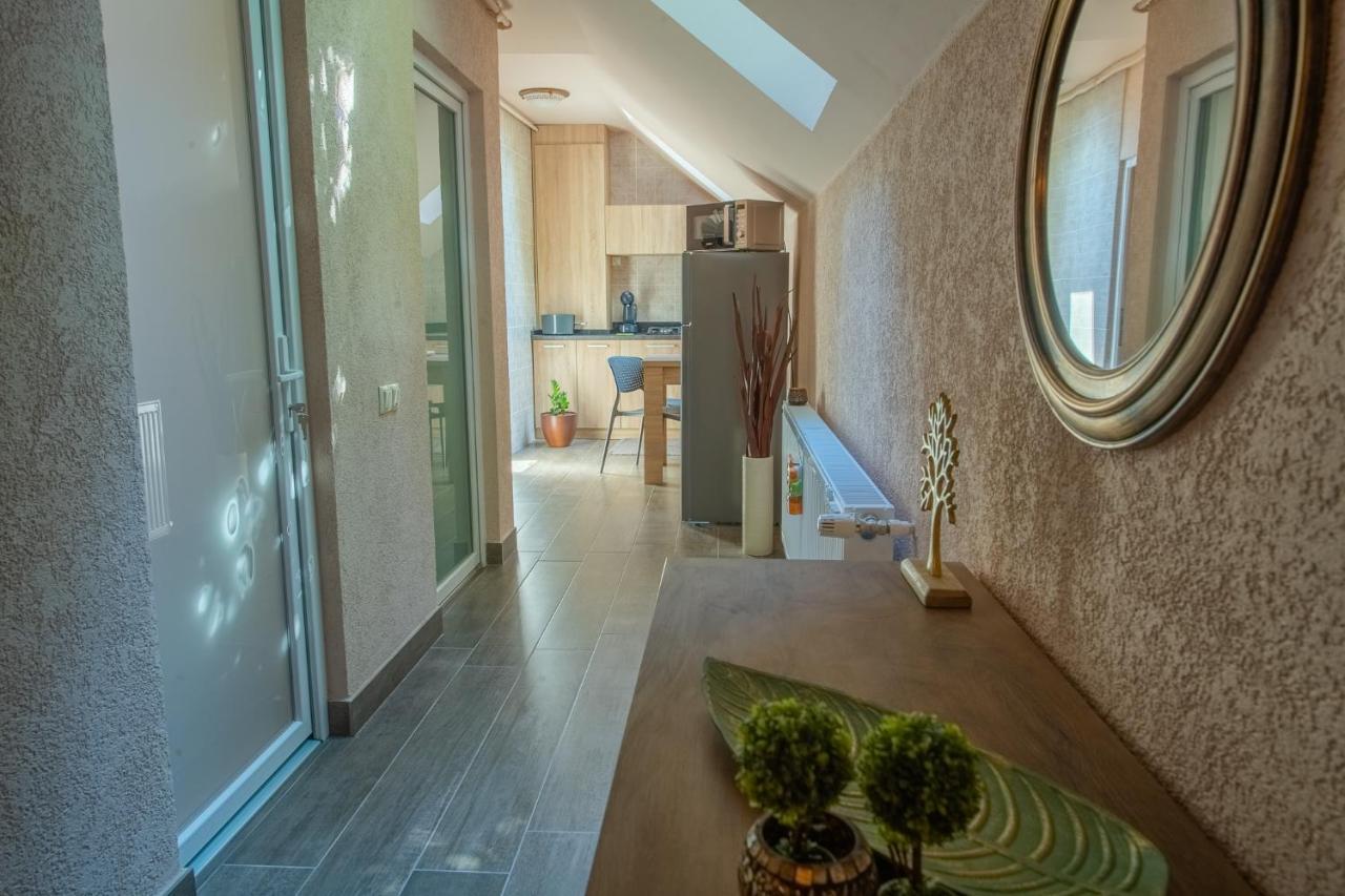 Braun Residence Sacele Exterior photo
